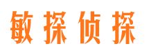 萨嘎敏探私家侦探公司